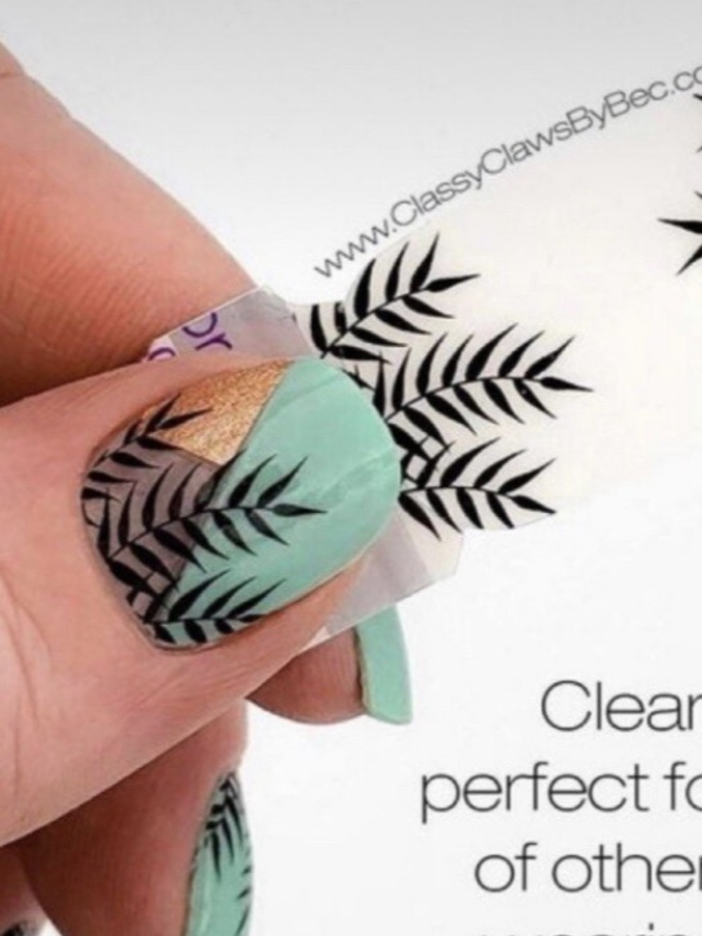 Color Street Palm Before the Storm FDL040 clear overlay black leaf design 16pcs - Picture 7 of 11